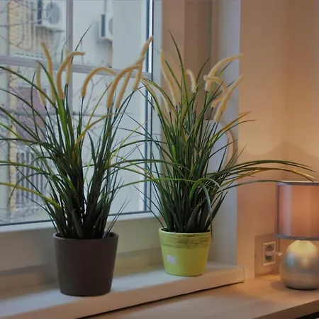 Spacious 2-bedroom With Luxury Feel Apartamento