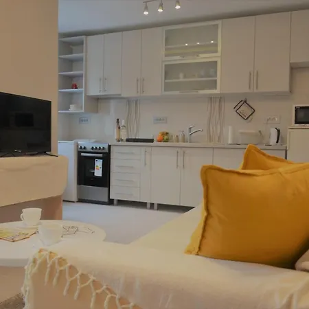 Apartment Spacious 2-bedroom With Luxury Feel Novi Sad