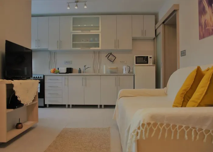 Spacious 2-bedroom With Luxury Feel * Novi Sad