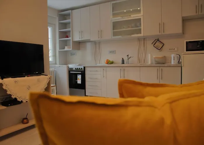 Daire Spacious 2-bedroom With Luxury Feel Novi Sad