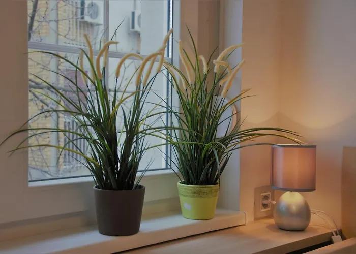 Spacious 2-bedroom With Luxury Feel Daire