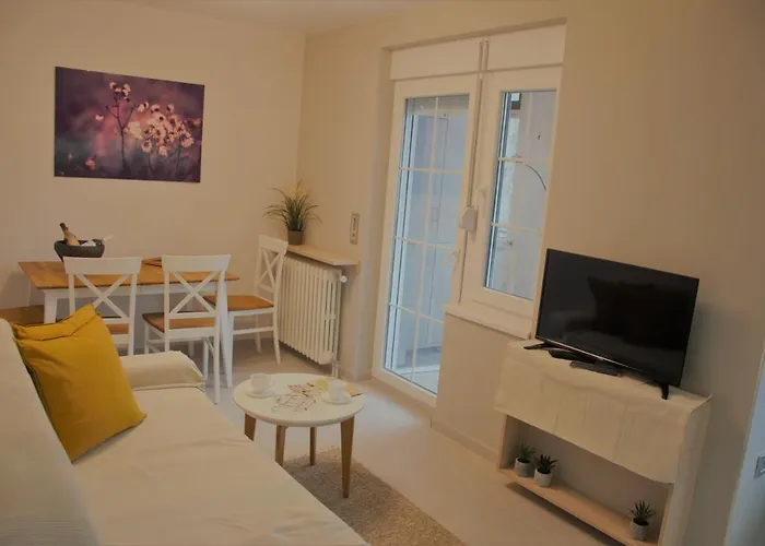 Daire Spacious 2-bedroom With Luxury Feel Novi Sad